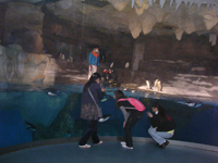 �y���M������