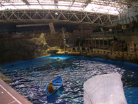 �x���[�K�̃v�[��