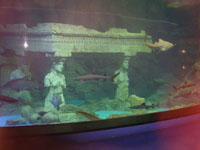 �Ñ��Ց��`����