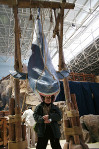 �T���̎ʐ^�R�[�i�[