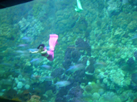 �l���P���j������