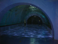 ���̐��E�ő�g���l������