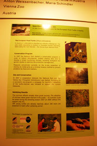 �|�X�^�[�Z�b�V����