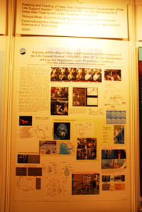 �|�X�^�[�Z�b�V����